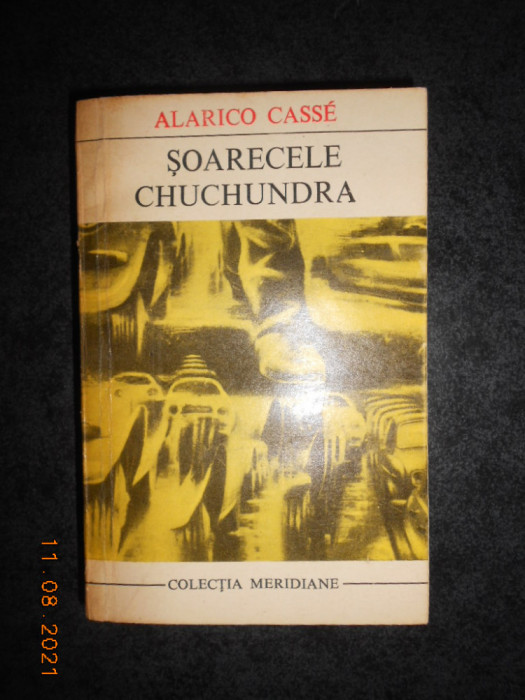 ALARICO CASSE - SOARECELE CHUCHUNDRA