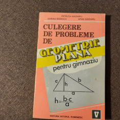 CULEGERE DE PROBLEME DE GEOMETRIE PLANA PENTRU GIMNAZIU - PETRUTA GAZDARU, 1994