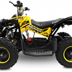 Mini Atv Nitro