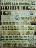Romania 1985/86 - Lot timbre stampilate Disney, desene animate, multe dubluri