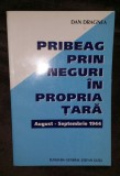 Pribeag prin neguri &icirc;n propria ta ţară / Dan Dragnea