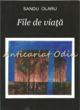 File De Viata - Sandu Olaru