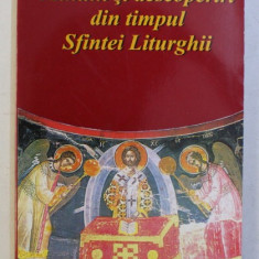 MINUNI SI DESCOPERIRI DIN TIMPUL SFINTEI LITURGHII, 2001