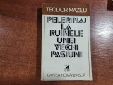 Pelerinaj la ruinele unei vechi pasiuni de Teodor Maziliu