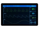 Afişaj TFT 10,1" 1280x800 LVDS