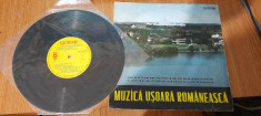 Lot 10 viniluri de vanzare foto