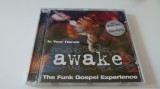 Awake - The funk gospel experience - 881