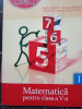 Catalin Stanica - Matematica pentru clasa a V-a (2011)