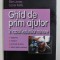GHID DE PRIM AJUTOR IN CAZUL LEZIUNILOR MINORE de MATTHEW COOKE ...CONOR KELLY , 2003