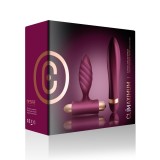 Set vibrator clitoris si vibrator anal Rocks-Off Climaximum Desire violet