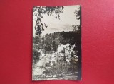 CARTE POSTALA - RSR - SANGEORZ BAI - VEDERE DIN PARC