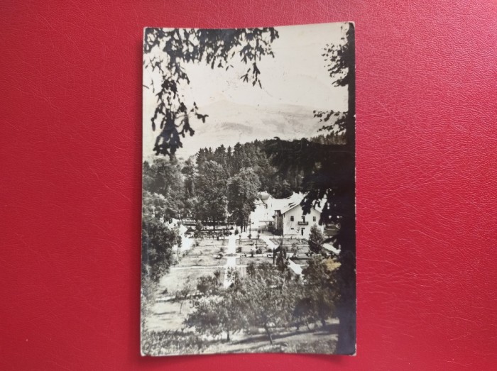 CARTE POSTALA - RSR - SANGEORZ BAI - VEDERE DIN PARC