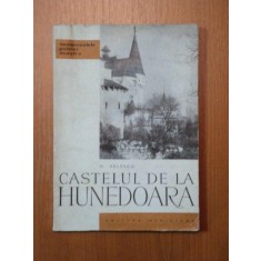 CASTELUL DE LA HUNEDOARA- O. VELESCU