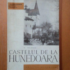 CASTELUL DE LA HUNEDOARA- O. VELESCU