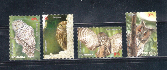 ROMANIA 2013 - PASARI RAPITOARE DE NOAPTE, MNH - LP 1984