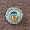 Insigna fotbal - VALENCIA CF (Spania)