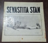 Sevastita Stan catalog expozitie