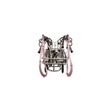 Aparat de muls vaci EMT galvanizat, 2 bidoane inox 30 litri, 2 posturi( uscat)