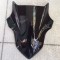 Parbriz original Kawasaki Z900 2017-