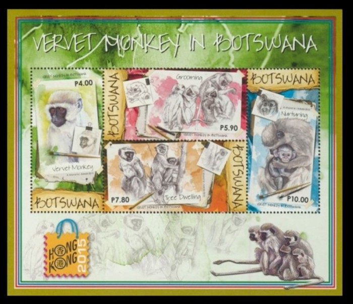 BOTSWANA 2015 FAUNA MAIMUTE SUPRATIPAR