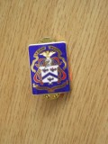 QW9 N 74 - insigna - militar - Leaven worth ad bellum pace parti