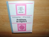 PROBLEME DE ALGEBRA -C.COSNITA ANUL 1989