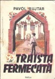 Cumpara ieftin Traista fermecata - Pavol Bujtar