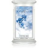 Kringle Candle Winter Iris lum&acirc;nare parfumată 624 g