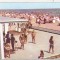 bnk cp Mamaia - Aspect de pe plaja statiunii - necirculata