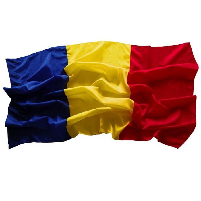 Steag Romania, 120 x 180 cm Steag Romania, 120 x 180 cm