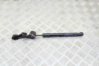 Amortizor capota st&amp;acirc;nga față TESLA MODEL 3 2020 OEM: 1091472-00-B 12561054 foto