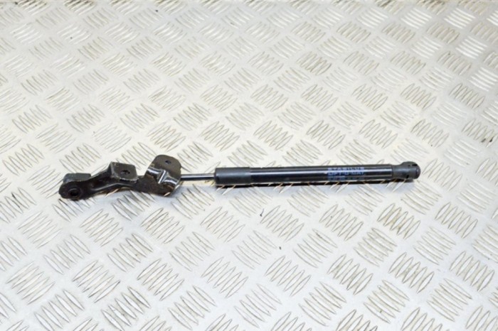 Amortizor capota st&acirc;nga față TESLA MODEL 3 2020 OEM: 1091472-00-B 12561054