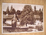 QW23 B - Carte postala - tematica turism - vedere - Romania - Borsec 14