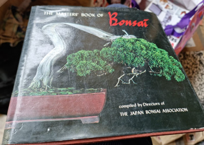 The masters book of bonsai foto