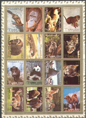 Ajman, 1973, fauna, tigru, panda, mistret, bloc dt.+ndt. cota 27 euro Mi., MNH foto