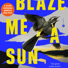 Blaze Me a Sun: A Novel about a Crime