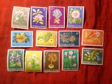 Serie Sierra Leone 1963 - Flora , 13 valori