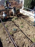Vand loc de veci CC Bacau