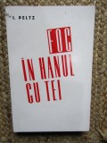 I. PELTZ - FOC IN HANUL CU TEI