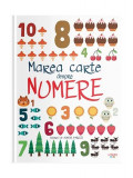 Marea carte despre numere - Hardcover - Mihaela T&icirc;rsu - Litera mică