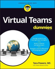 Virtual Teams for Dummies foto