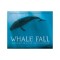 Whale Fall: Exploring an Ocean-Floor Ecosystem