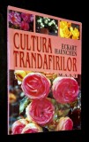 Cultura trandafirilor - Eckart Haenchen, Editura M.A.S.T. 2003, cu 4 planse color, ISBN 973 8011 57 4 *Rasfoieste, citeste!