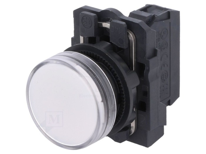 Lumină de Control 22mm, albă, 24V DC