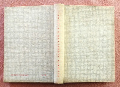 Istoria ilustrata a picturii. De la arta rupestra la arta abstracta - Colectiv foto
