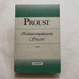 Proust - In cautarea timpului pierdut - Swann
