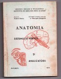 anatomia sistemului nervos si analizatorii de andrei iliescu georgeta bragarea i
