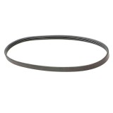 Curea transmisie cu caneluri Contitech 5PK975