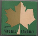 S. Pascovschi, D. Sburlan - Padurile Romaniei