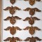 LOT 10 DECORATIUNI LEMN PENTRU MOBILA VECHI SCULPTATE